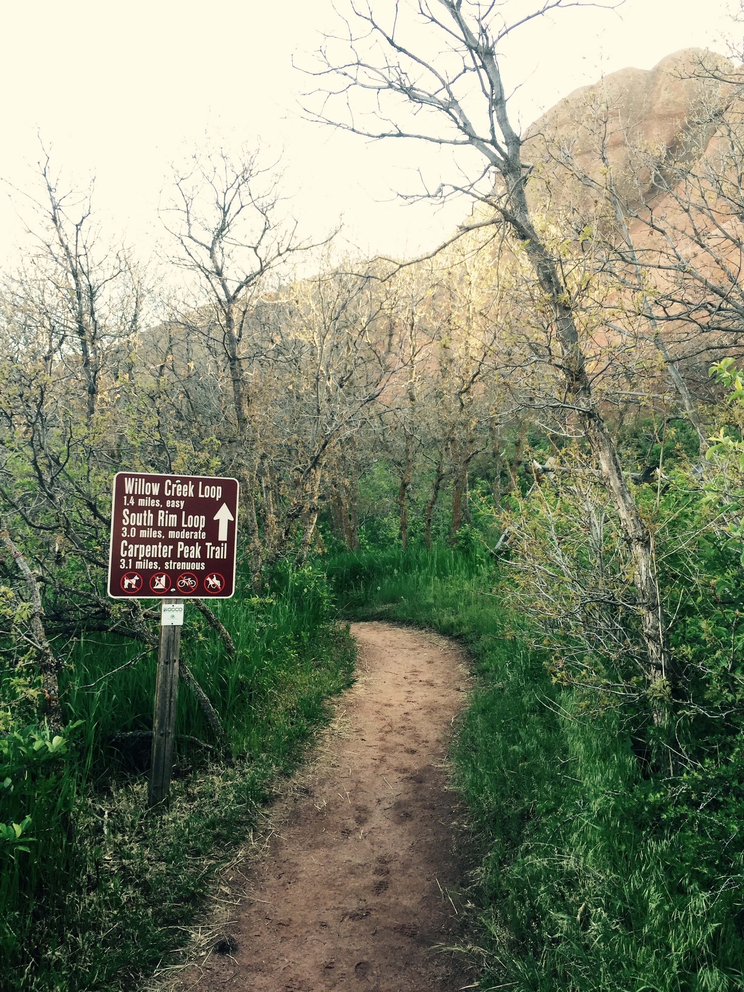 Summer Hiking Series: Willow Creek Trail